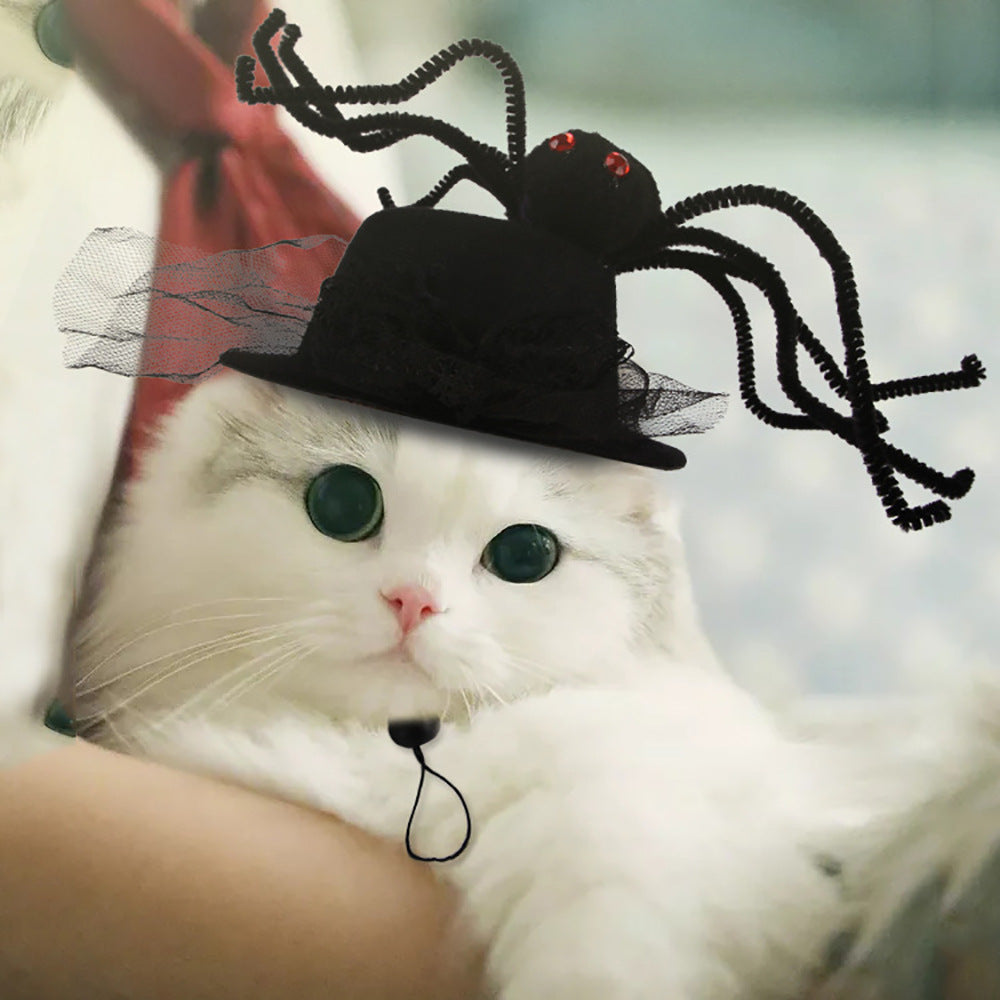 Funny Pet Hat – Halloween Headwear for Cats & Dogs | Photo Props