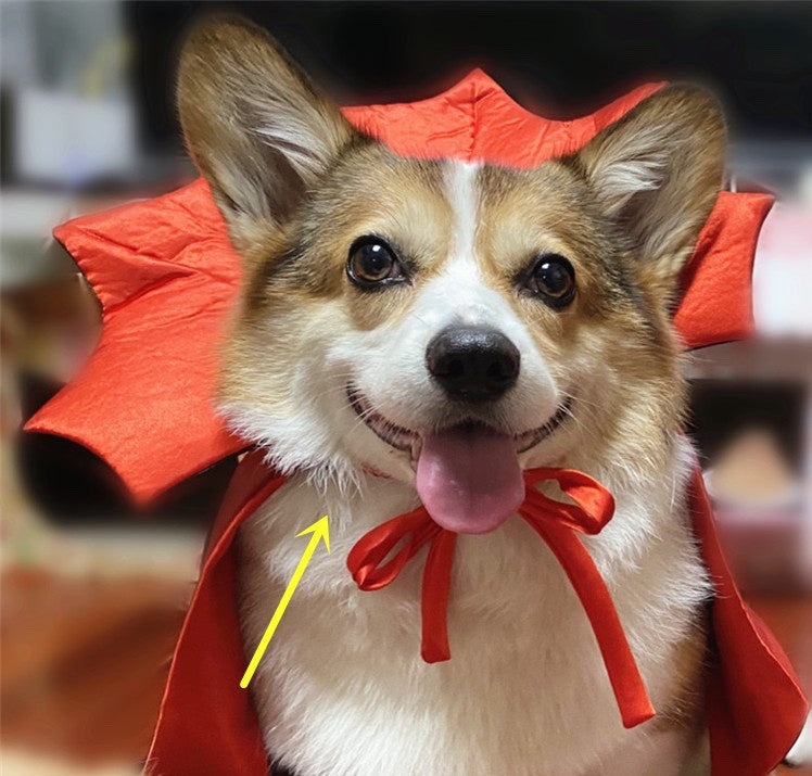 Halloween Vampire Cape for Pets – Dracula King Costume for Dogs & Cats