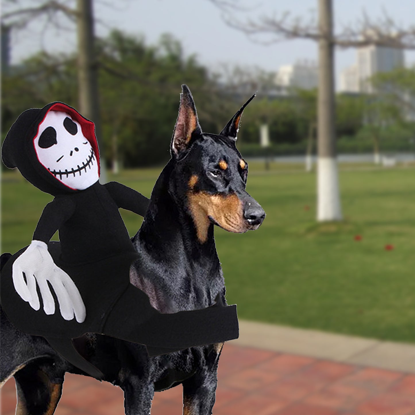 Funny Halloween Pet Rider Costume – Skeleton Hoodie Character Riding Dog Outfit