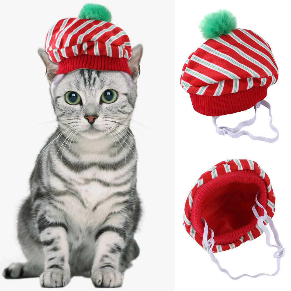 Funny Pet Hat – Halloween Headwear for Cats & Dogs | Photo Props