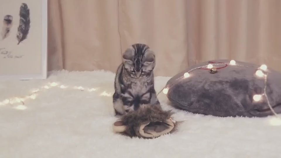Funny Pet Hat For Small Dogs Cats